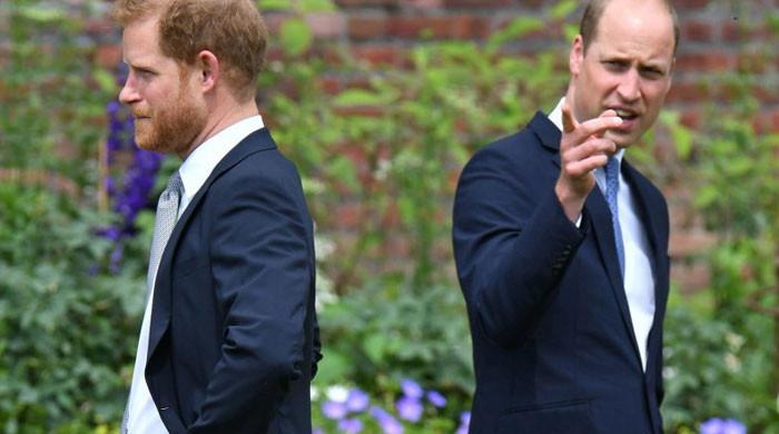 Prince Harry Thinks Prince William Is ‘trapped’ Inside The Royal Family