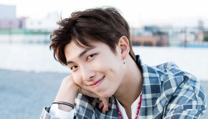 BTS RM addresses letter to ARMY, wishes them love and peace