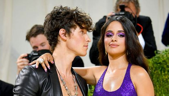 Shawn Mendes, Camila Cabello’s ‘romance just fizzled out’: source