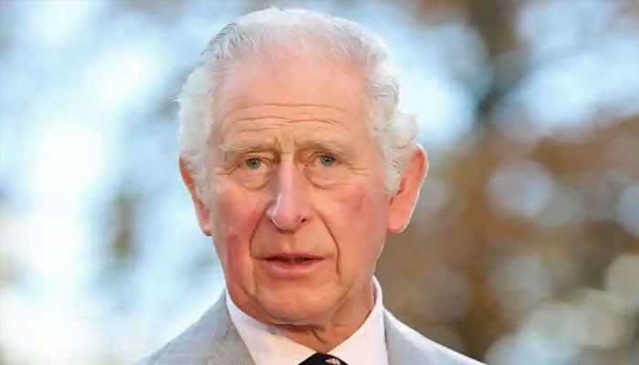 Prince Charles alleged inquiry about Archie’s skin colour dubbed fiction