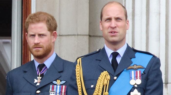 Prince William hailed for blaming ‘only himself’ for life problems: report