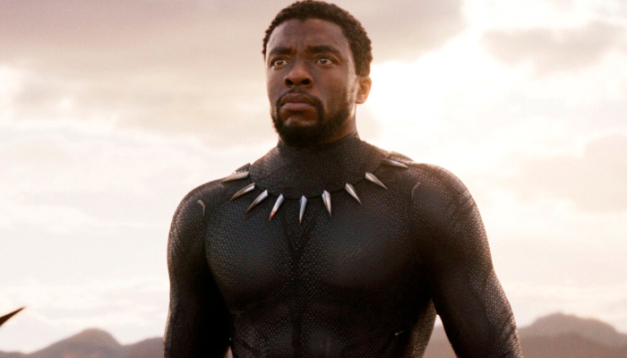 Chadwick Boseman’s brother wants Black Panther to be recast