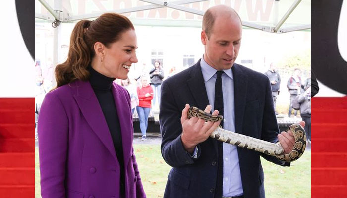 Prince William and Kate Middleton are Royal Familys true power players