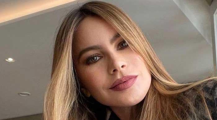 Sofia Vergara floors fans with her fabulous photo