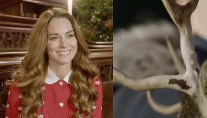 Kate Middletons new video features reindeer despite criticism from animal rights activists