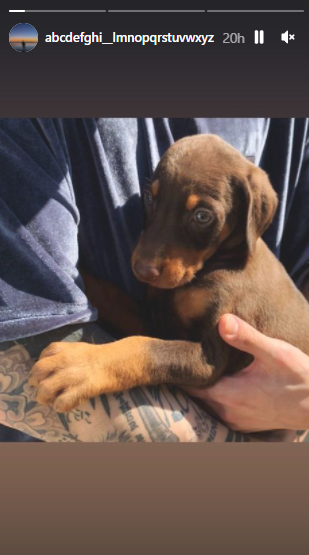 BTS vocalist Jungkook spends New Year with his pet dogs: see pics