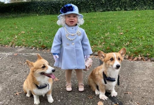 Queen Elizabeth sends personal letter to toddler who dressed up as her