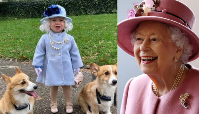 A toddler from the US caught the attention of Queen Elizabeth after dressing up as her for Halloween