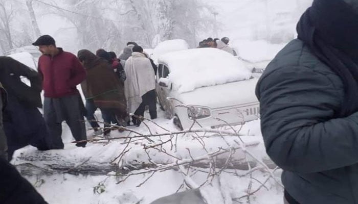 تحقیقاتی کمیٹی کی رپورٹ میں کہا گیا ہے کہ مری واقعہ انتظامی غفلت کے باعث پیش آیا، ذرائع