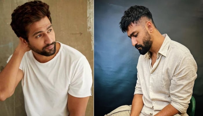 Small Role, Big Impact: Vicky Kaushal In Dunki To Triptii Dimri In Animal,  Actors Who Stole Limelight