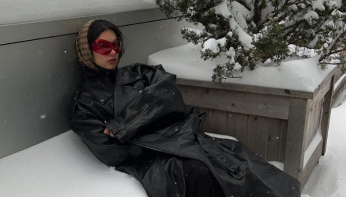 Dua Lipa poses in heavy New York snowfall: ‘everything is totally fine’