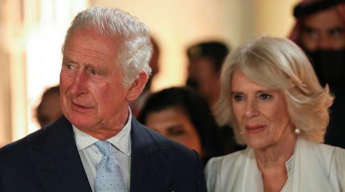 Prince Charles’ marriage to Camilla ‘opened doors’ for Prince William ...