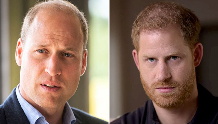 Prince Harry went ballistic when Prince William uttered five damaging words