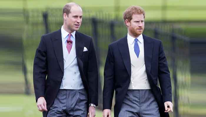 Prince Harry and William will come together for Queens Platinum Jubilee celebration