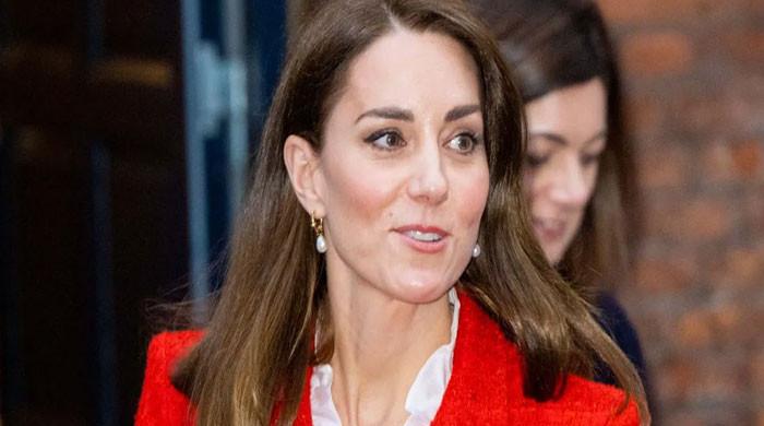 Kate Middleton looks 'unsure' of first solo trip in Denmark, claims ...