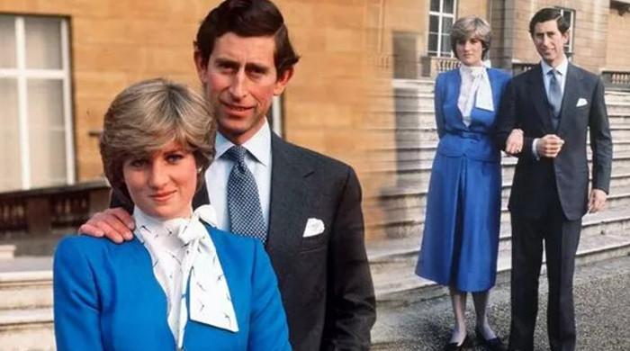'Doubts' over Prince Charles, Princess Diana's future revealed in ...