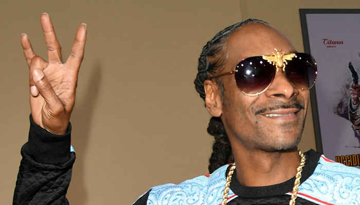 Snoop Dogg requests major development in assault case