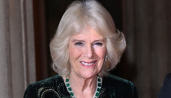 Camilla's plans after taking Queen Consort title revealed