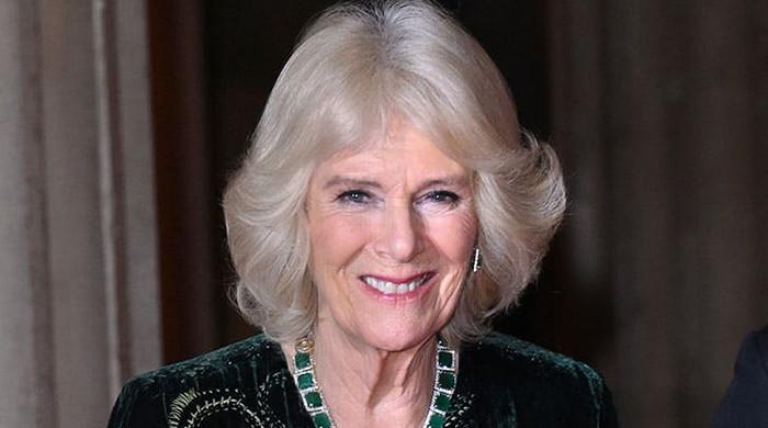 Camilla's plans after taking Queen Consort title revealed