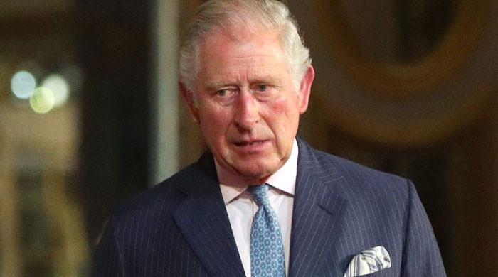 Prince Charles’ ‘isolation And Sacrificial’ Realities Of Kingship