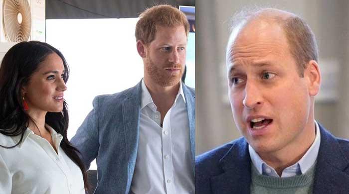 Will Prince Harry and William bury their hatchet for good?