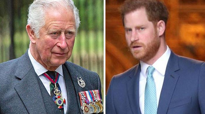 Prince Harry’s Sussex Charm ‘will Wither’ Without Invite To Prince 