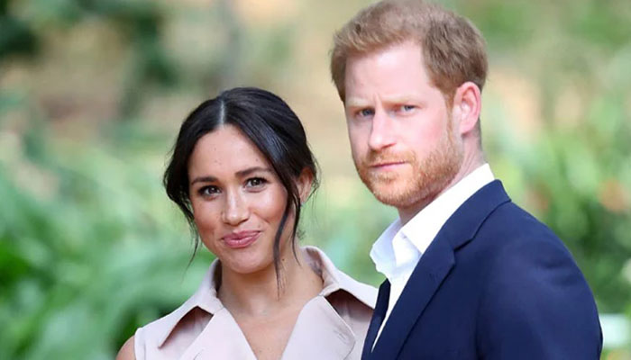 Prince Harry, Meghan Markle warned of jarring decline of multi-million dollar deals