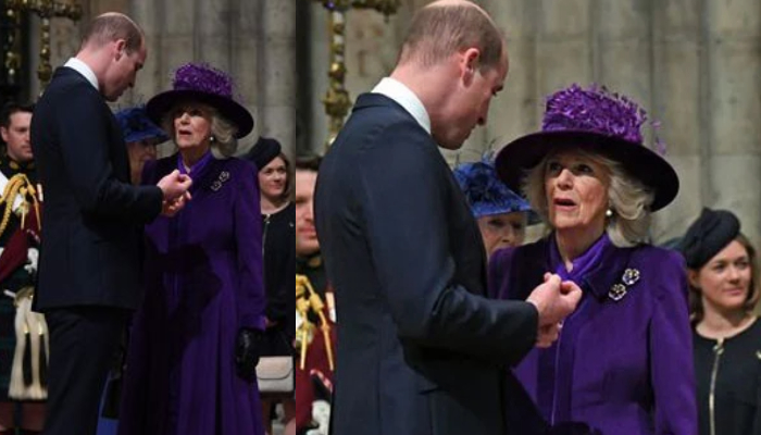 Prince William and stepmom Camilla, Duchess of Cornwall, seem to have put their differences aside