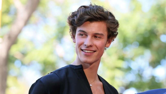 Shawn Mendes debuts new tattoo, fans speculate reason behind latest ink