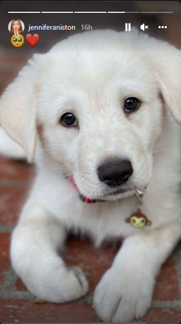 Jennifer Aniston celebrates National Puppy Day with adorable photos of pup