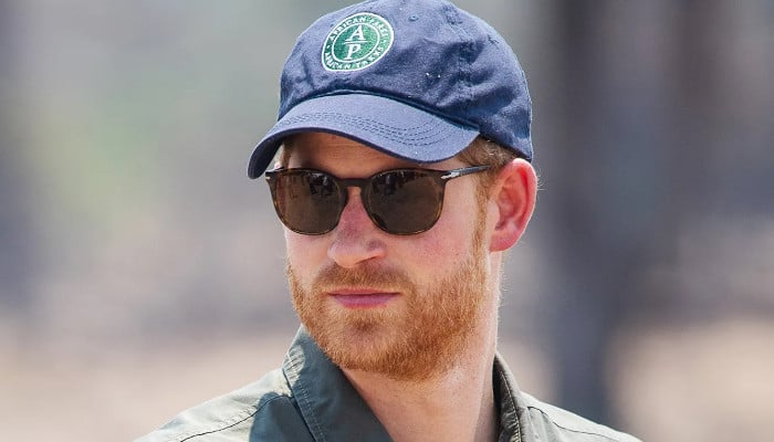 Prince Harry accused of ‘doing nothing’ except looking after chicken coop