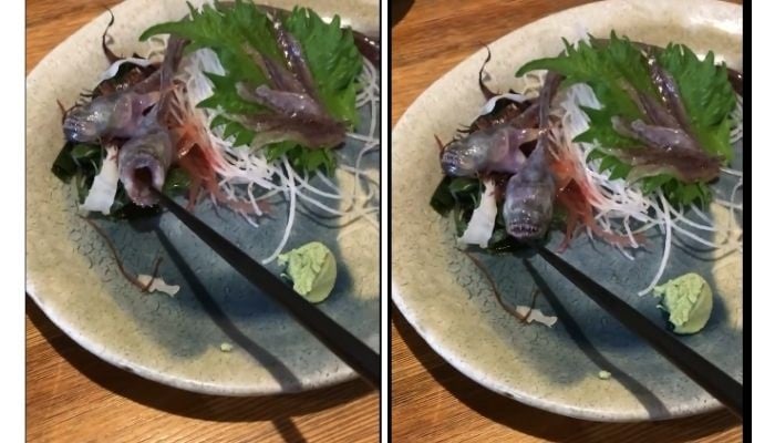 Alive fish served as food creeps out many people over the internet.—Screengrab from Instagram video/@rhmsuwaidi