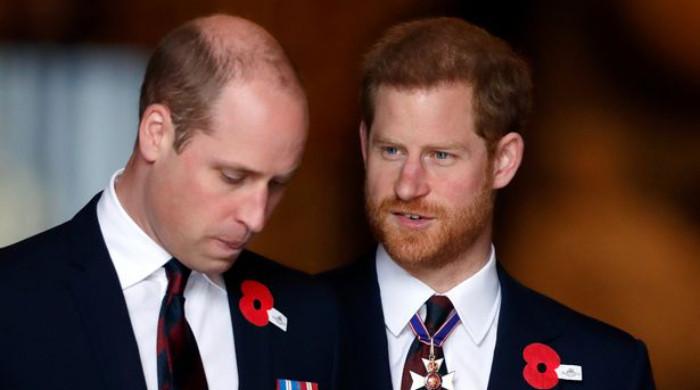 Prince Harry, William feud: Body language expert analyses ‘haunting ...