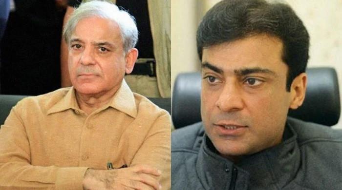 PM Shehbaz Sharif Congratulates Hamza On Becoming CM Punjab