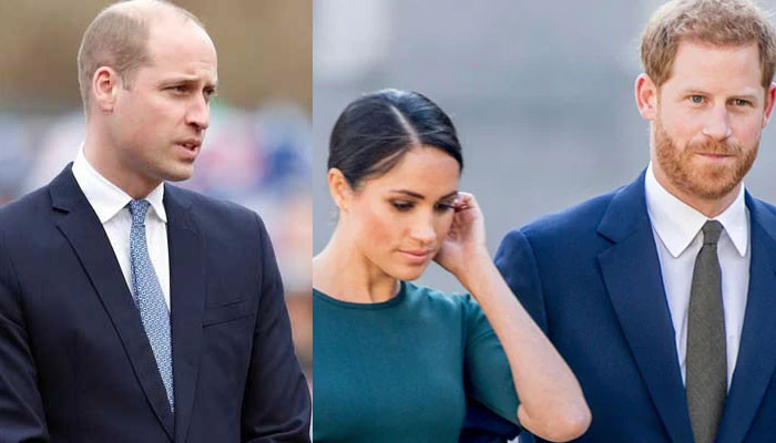 Prince William ‘needs to temper’ chats with Prince Harry, Meghan Markle