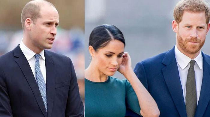 Prince William ‘needs to temper’ chats with Prince Harry, Meghan Markle