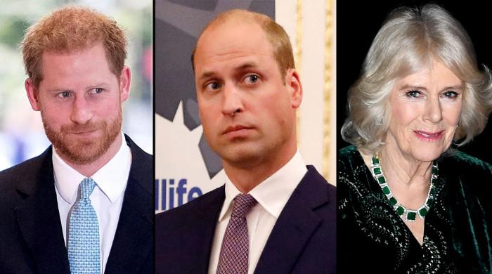 Prince William 'will be truly disgusted' if Harry trashes Camilla in memoir