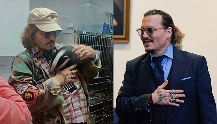 Johnny Depp's bizarre pic of cradling badger goes viral shortly after ...