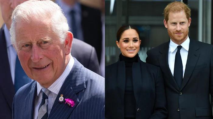 Prince Harry, Meghan Markle had a secret meetup with Prince Charles ...