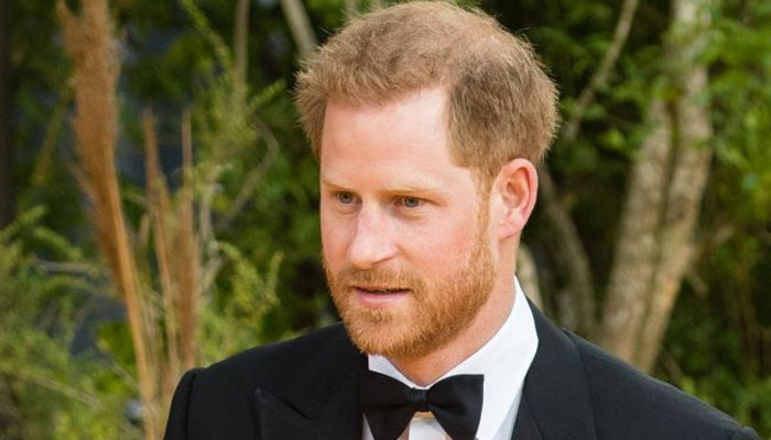 Prince Harry’s ‘most painful 19 minutes’ till ‘reality of new life set in’