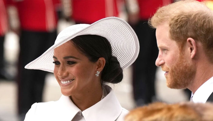 Prince Harry, Meghan Markles Jubilee role causing Netflix anguish