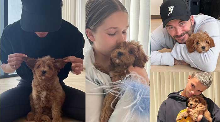 Victoria Beckham shares slew of snaps of new family member Simba Beckham