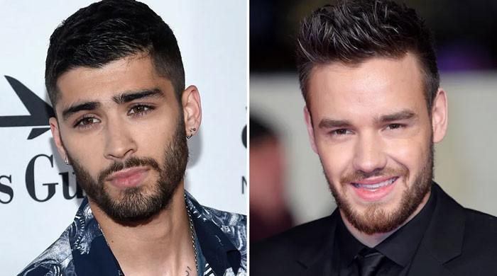 Zayn Malik Restores One Direction Fans' Hopes Amid Liam Payne's Swipe ...