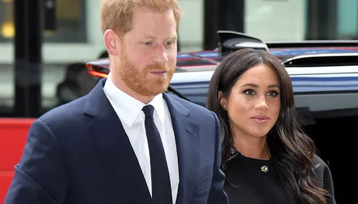 Prince Harry, Meghan Markle ‘should see Netflix 10 different ways!’