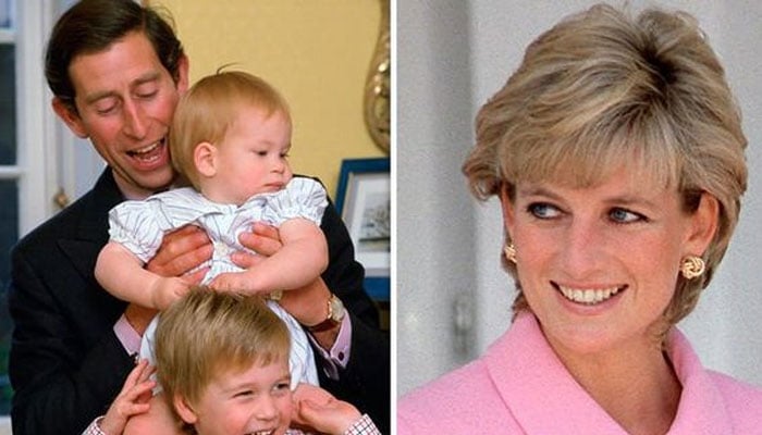 Princess Diana heartbreak as Harry no longer revenge against Prince Charles