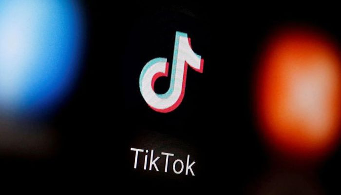 TikTok نے وائرل ہٹس کا پہلا البم جاری کیا۔