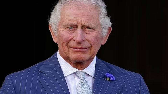Prince Charles’ charity is after new audit manager for better use of ...