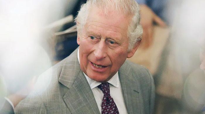 Prince Charles throws shade at Prince Harry, Meghan Markle? ‘Who is he ...