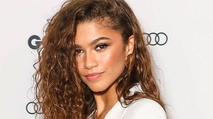 Zendaya expresses delight at Emmy Awards nomination: Photo