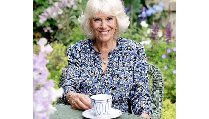 Camilla looks classy as she poses for her 75th birthday portrait: see pic